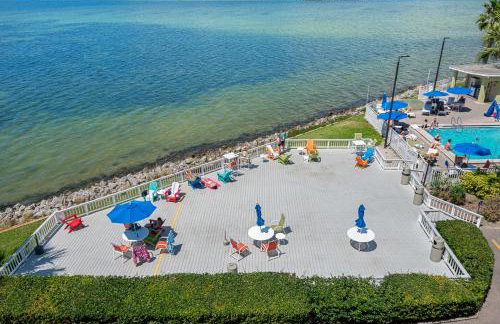 Sunset Paradise - Find yourself in Tampa - Photo 33