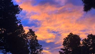 Cozy Rustic Retreat on a Horse Ranch with Stunning Pikes Peak Views and Serenity Minutes from Downtown Woodland Park - Foto 4