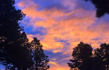 Cozy Rustic Retreat on a Horse Ranch with Stunning Pikes Peak Views and Serenity Minutes from Downtown Woodland Park - Foto 4