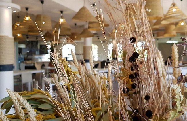 Alannia Guardamar - Foto 35