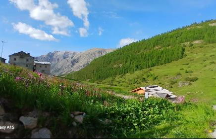 Nido tra le valli - Foto 11