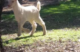 Casas Rurales La Loma Del Carrascal - Foto 17