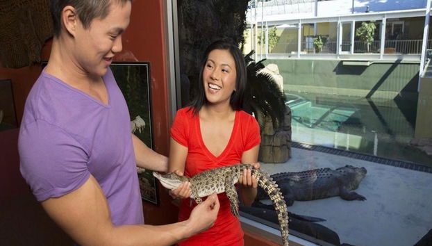 Entradas de admisión general a Crocosaurus Cove - Foto 3