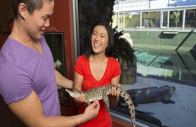 Crocosaurus Cove General Admission Tickets - Photo 3