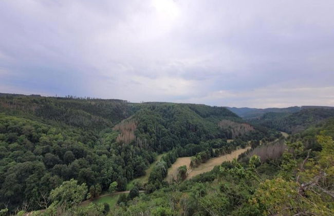 Welcoming Apartment in Meisdorf Near Nightlife - Foto 58