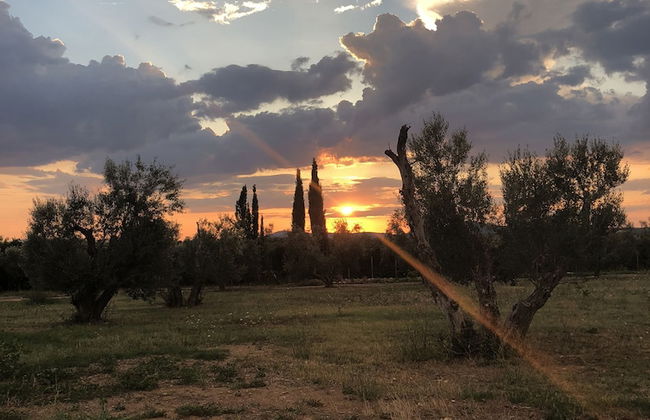 Resort Fonte Vulci - Foto 28