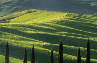 CASA VASARI Holiday Suites TUSCANY - Foto 44