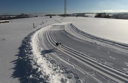 Ferienwohnung am Bärenstein - Photo 17