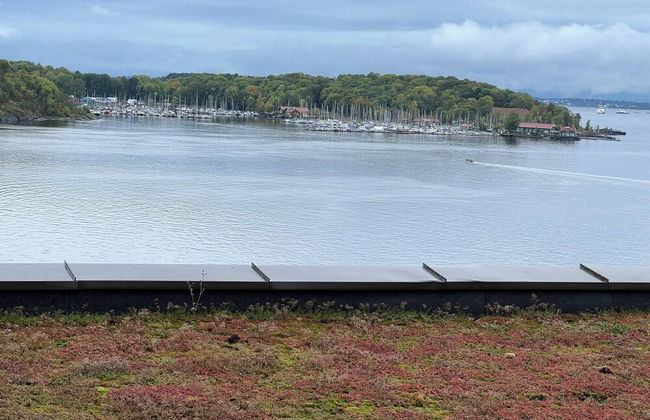 Stylish Seaview 4 Beds Central Apartment Sorenga - Photo 42