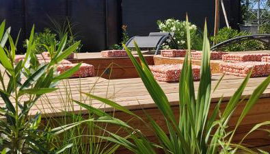 Pomme de Reinette - Photo 5