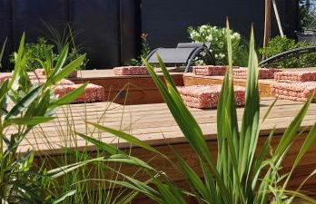 Pomme de Reinette - Foto 5