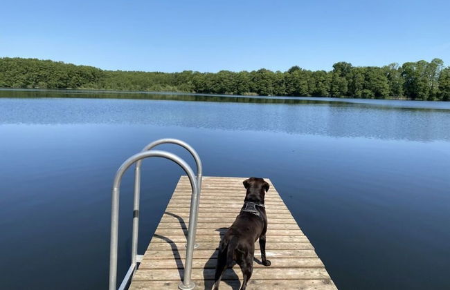 Pleasant Holiday Home Near Town Center - Foto 14