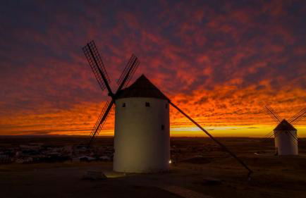 Chicote Rural - Foto 17