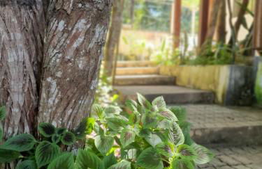 Morada dos Saguis - Foto 62