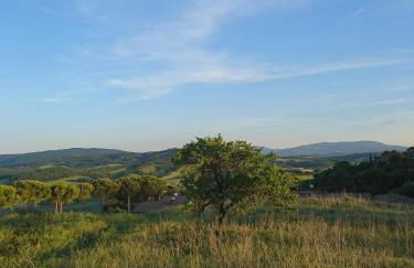 Casa Panorama - Foto 51