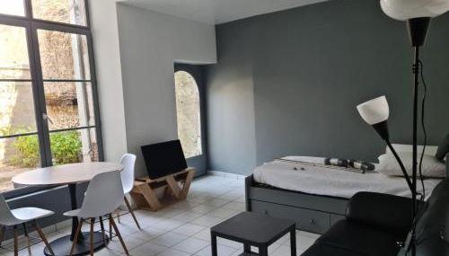 Beaugency-3 sur la route des châteaux - Photo 3