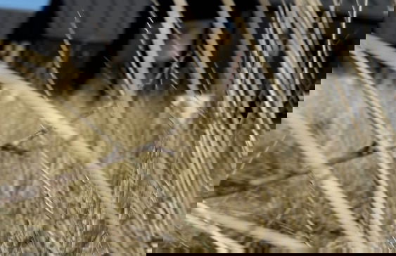 Esehytter Luxury Holiday Home near Beach - Foto 44