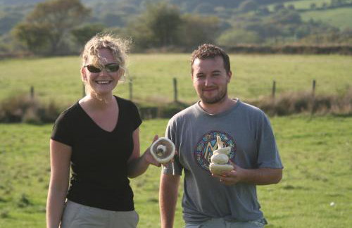 Swansea Valley Holiday Cottages - Foto 106