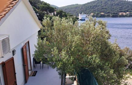 Dragovoda bay - Foto 5