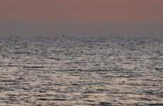 Aurora e Alba - Foto 1