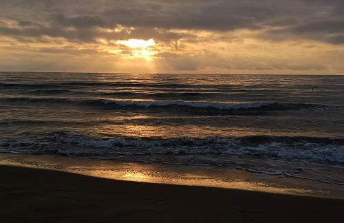 Le zéphyr - Foto 27