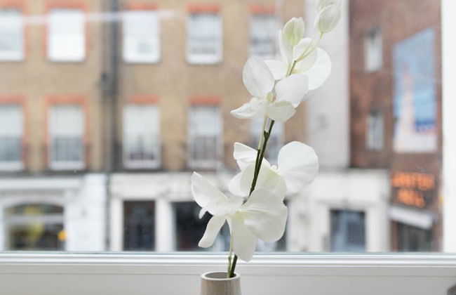 Romily Street - Foto 5