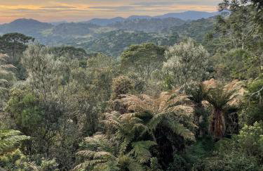 Cabana Momento, o Melhor Nascer do Sol de Urubici - Photo 9