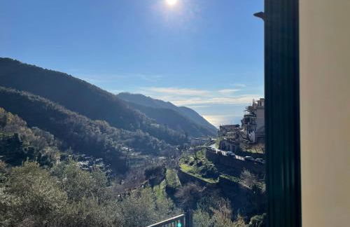 Il Gelso Bianco -The White Mulberry Tree - Foto 1