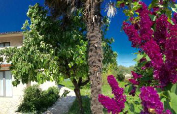 Villa Altra - Photo 35