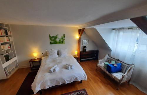 145m² city center 4 bedrooms view of the Cathedral - Foto 33