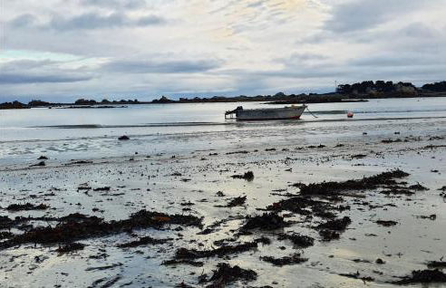 Amazing Home In Trévou-Tréguignec - Foto 9