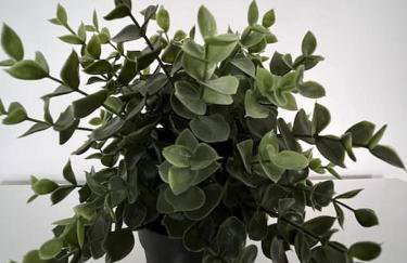 West House Mews B - Foto 30