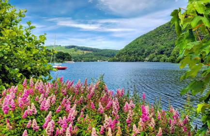 Chaletpark Diemelsee - Foto 11