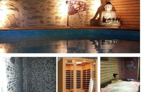 GITE "POM DE PIN" avec accès à la balnéo et piscine couverte - Libre du samedi au samedi - Foto 19