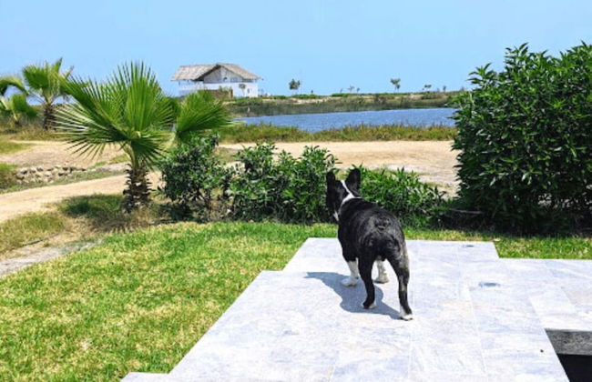 HOP Mykonos en Playa y Naturaleza de Chincha - Foto 33