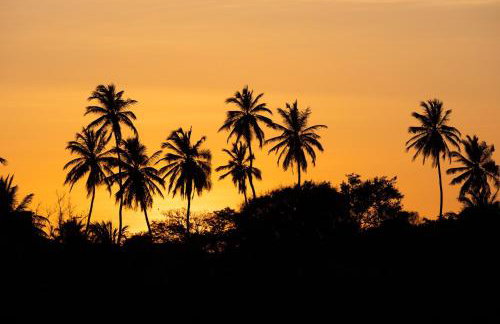 Refúgios Parajuru - Photo 26