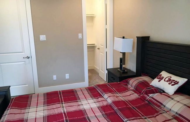 Modern Energy Corridor Corporate Housing - Foto 4