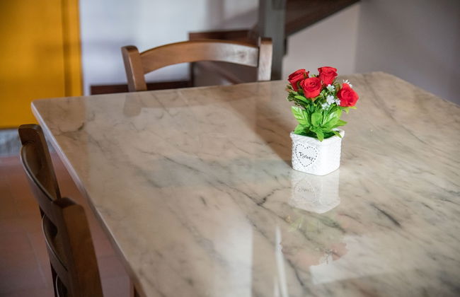 Fattoria di Cintoia - Photo 33