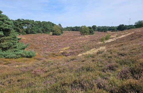 Am Linnert - Foto 28