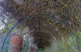 Quinta Verde Sintra - Casa de Campo - Foto 35