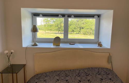 Gîte à la campagne 1 chambre Les Grandes Maisons Espace jacuzzi hammam SPA - Photo 5