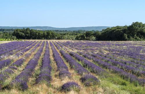 Holiday Home Le Mas by Interhome - Foto 33