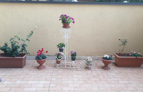 Magnolia House - Photo 34