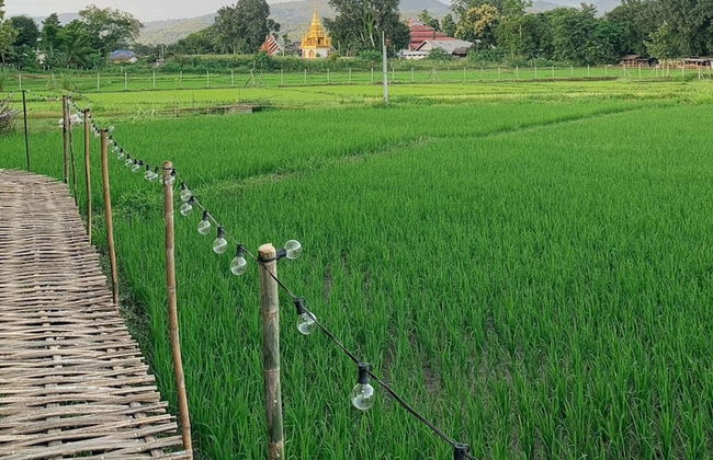 Paddy Fields Haven - Natures Nest Pai - Foto 17