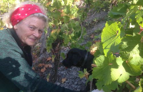 Ferienhaus Atelier - Foto 37