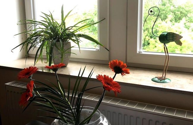 Apartment on the Elbe Ferry - Apartment for 2 - 3 People - Photo 19