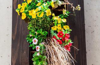 Apartmani Gelo - Foto 75