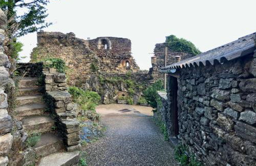 Le balcon d hautpoul - Photo 30