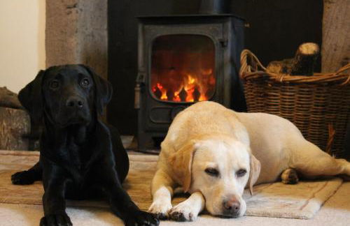 Cardross Holiday Cottages - Foto 1