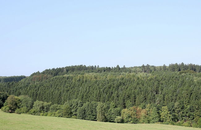 Apartment With Terrace and Pool in the Garden - Foto 28